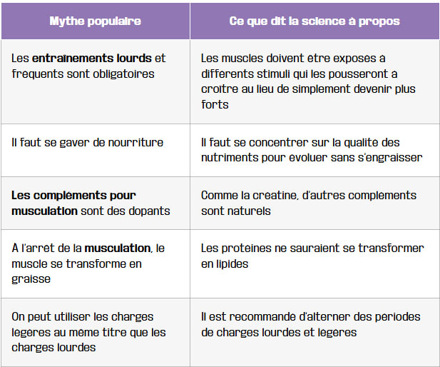 tableau mythes et realites sur la prise de masse rapide