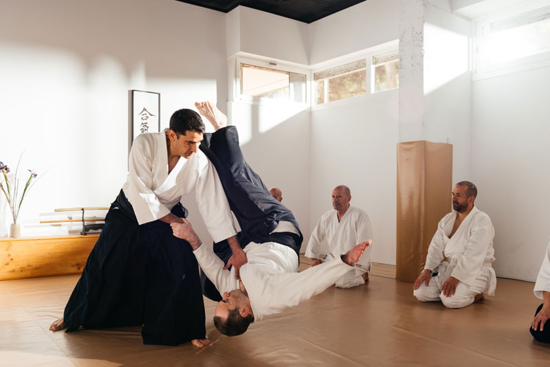 bjj dans les arts martiaux