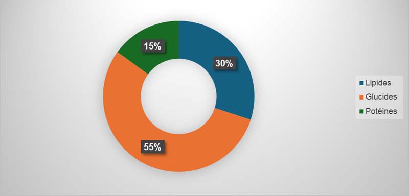 fondamentaux de alimentation du sportif