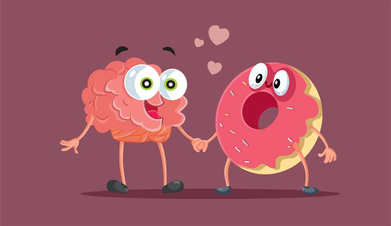 glucides et le cerveau une relation essentielle