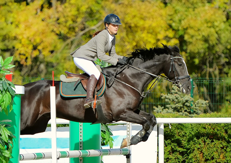 top des sports les plus onereux au monde equitation