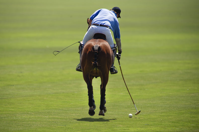 top des sports les plus onereux au monde le polo